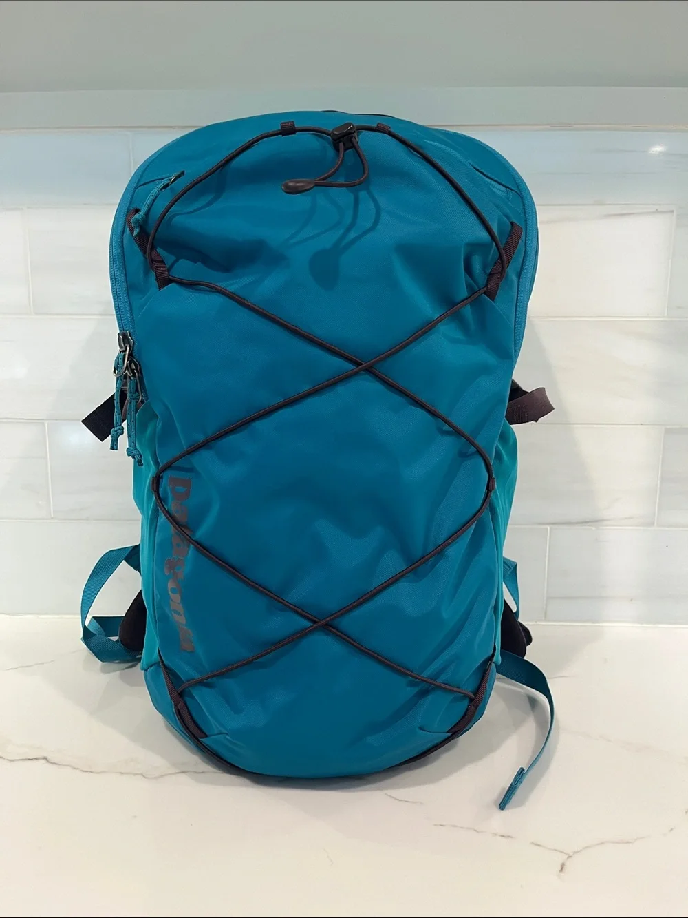 Patagonia NEW Refugio Daypack 30L Backpack
